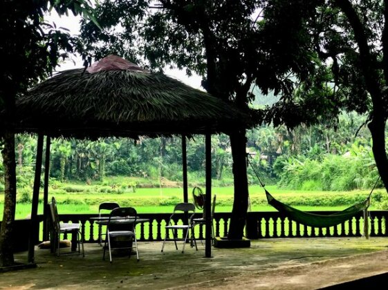 VuLinh Family Homestay - Photo5
