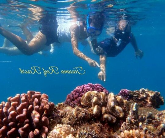Teouma Reef Resort - Photo2