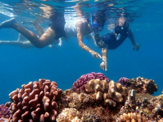 Teouma Reef Resort - Photo4