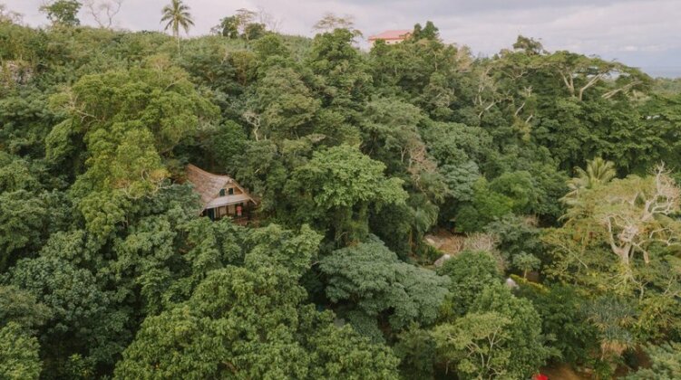 Treetops Lodge - Photo3