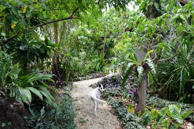 Villa Ducula - Photo2