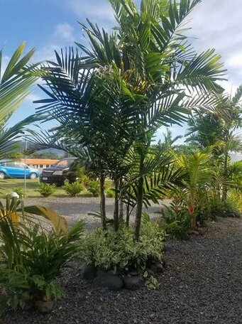 Le Aura Inn - Photo5