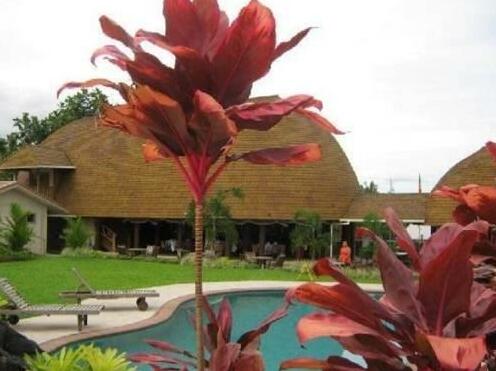 Le Manumea Resort - Photo4