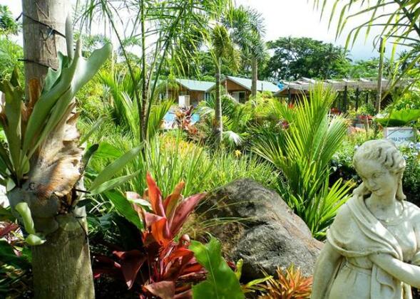 Orator Hotel Samoa - Photo5