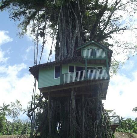 Lupe Sina Treesort - Photo2