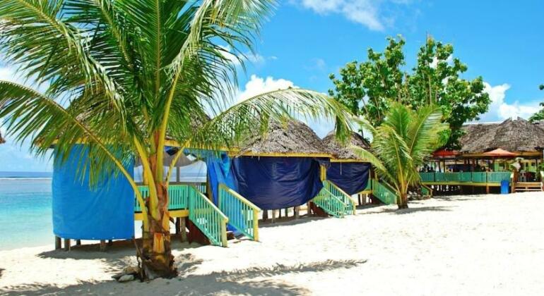 Taufua Beach Fales - Photo5