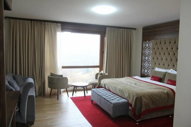  Photo 1