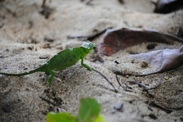 Le Jardin Maore - Photo3