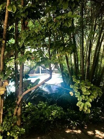 Beach Forest Lodge - Photo4