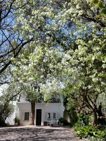 Little Green World - Photo4