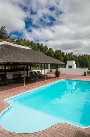 Olive Grove Guest Farm