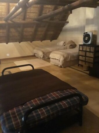 125 Zebula - Photo3