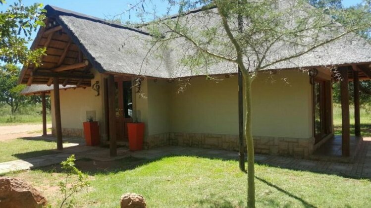 91 Zebula - Photo2