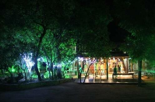 Dima Bush Camp - Photo2