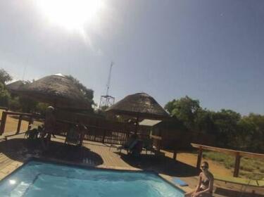 Dima Bush Camp