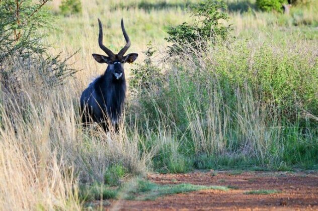 Elements Private Golf Reserve - Photo2