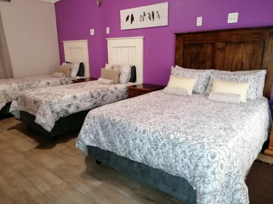 Flamboyant Guesthouse - Photo3