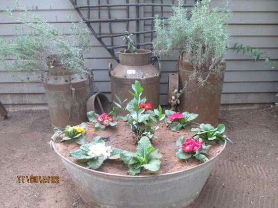 Aandrus Guesthouse - Photo3