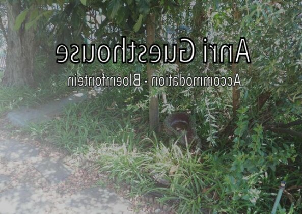 Anri Guesthouse - Photo2