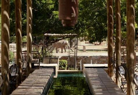 Protea Hotel Bloemfontein Willow Lake - Photo3