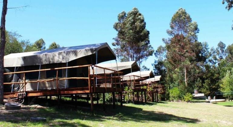 Kunguru Lodge - Photo3