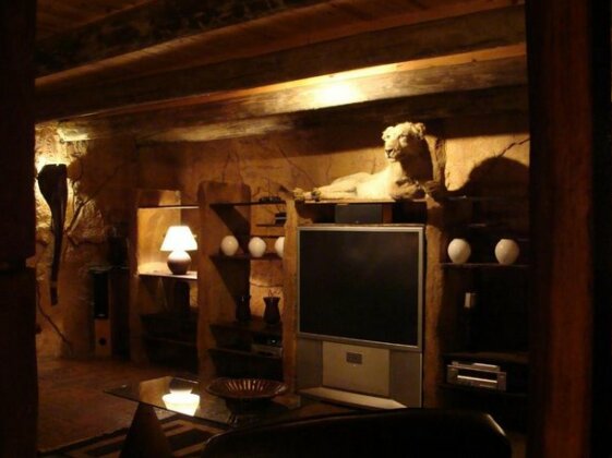 The Royal Gecko Bushveld Lodge - Photo2