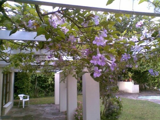 11 Lucius Way - Photo4