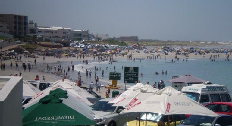 7 Views Self Catering Beachfront Apartment - Photo2