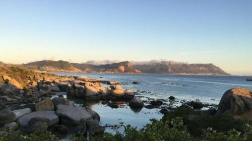 Bosky Dell on Boulders Beach