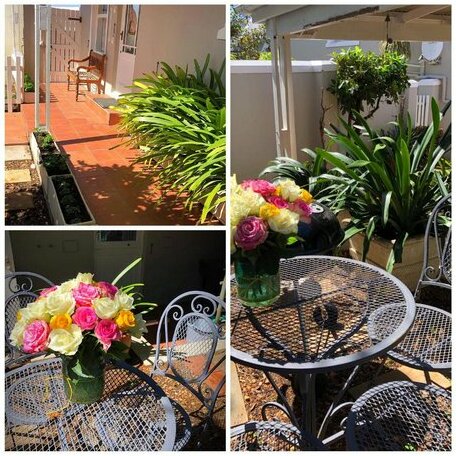 Caryn's Cottage - Photo4