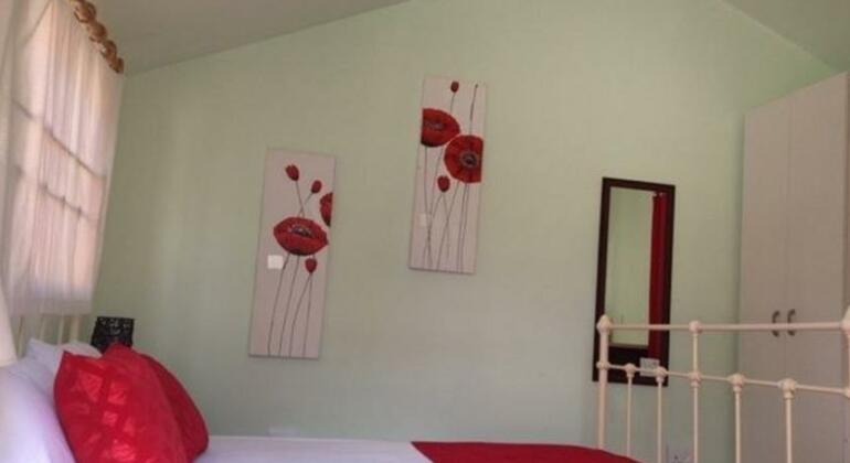 Eagle Lodge Guesthouse - Photo3