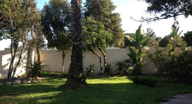 Eagle Lodge Guesthouse - Photo5