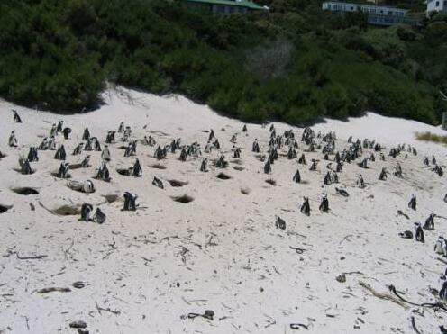 Holiday home Simons Town Lodge - Photo2