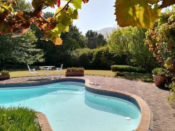 Le Petit Vignoble - Photo2