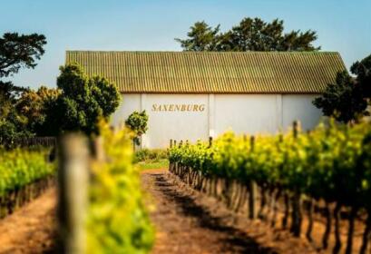 Saxenburg Wine Farm