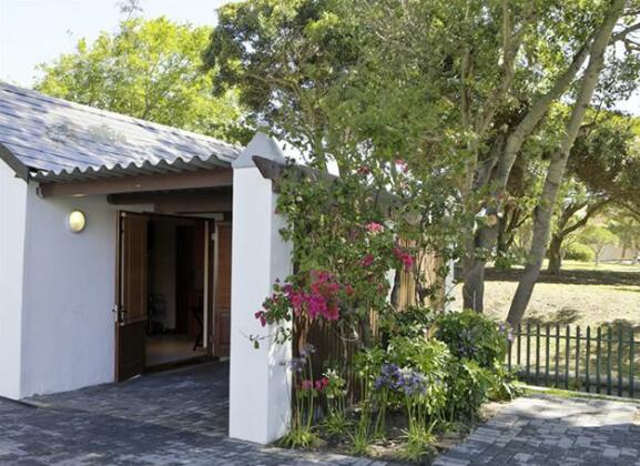 The Oak and Vine Guest House Cape Town - Photo3