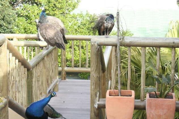 The Tree House Cape Town - Photo4