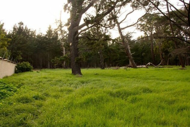 Tokai Forest Guest House - Photo4