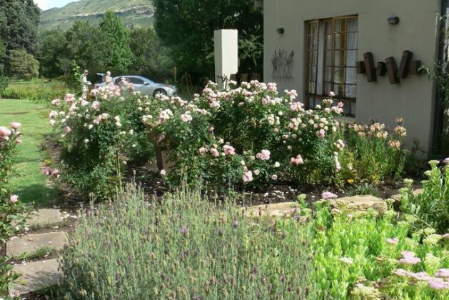 Aspen Guest House - Photo4