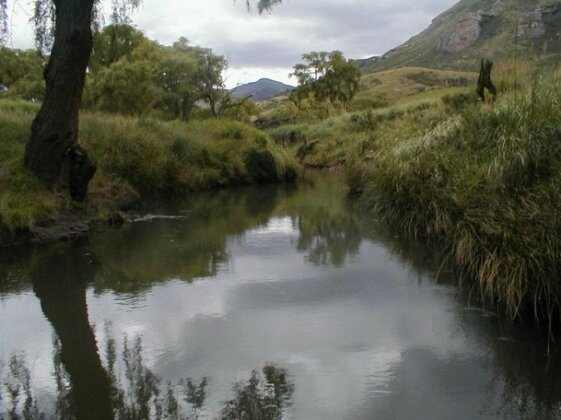 Royal Coachman - Photo3