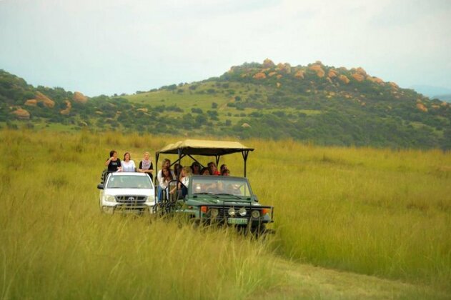 Zuikerkop Country Game Lodge - Photo3