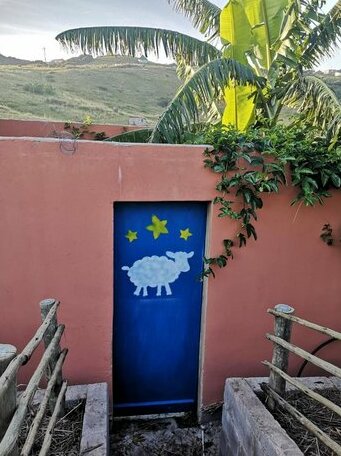 Sheep and Stars - Photo3