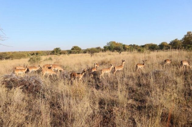 Kwalata Game Lodge - Photo3