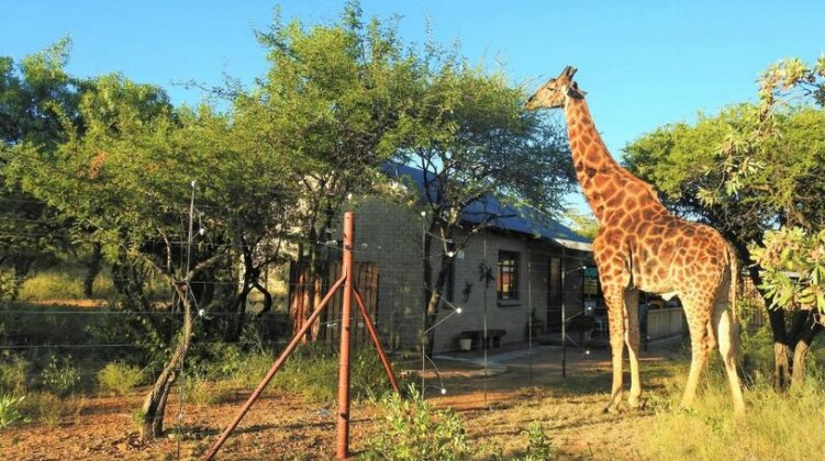 Marulani Bush Lodge - Photo2