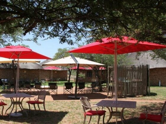 Tshikwalo Game Lodge - Photo4