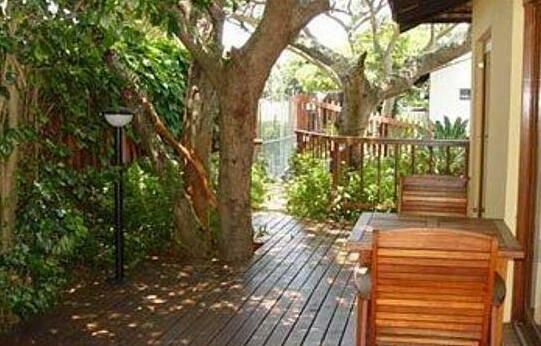 Umbrella Tree B&B - Photo4
