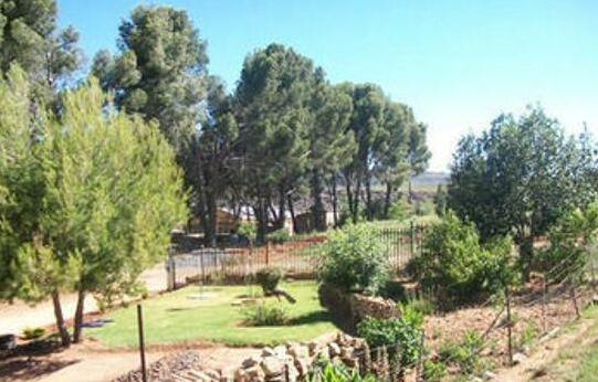 Aligeo Guest House - Photo4