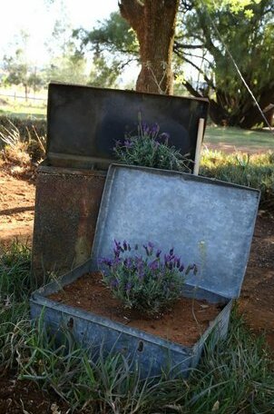 Sundown Lodge Eastern Cape - Photo5