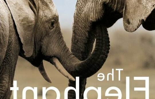 Thula Thula Exclusive Private Game Reserve & Lodge - Photo3