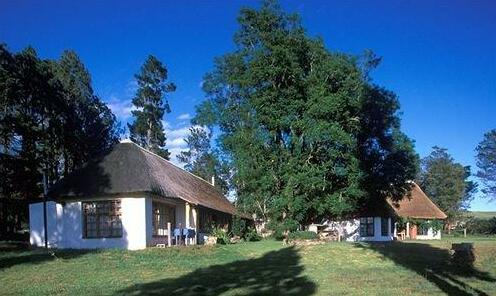 Antbear Drakensberg Lodge